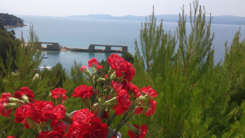 Apartmani Sea View Lokva Rogoznica Δωμάτιο φωτογραφία